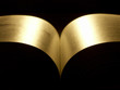 golden book