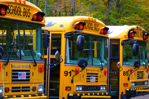 Photo: row of school buses row of school buses