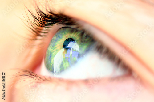 oeil en gros plan
