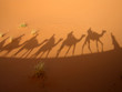 shadow of caravan shadow of caravan