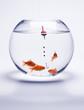 poisson rouge