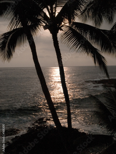 Photo: hawaiian night hawaiian night