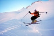 ski acrobatique