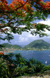 les saintes