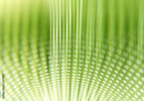 abstract green background