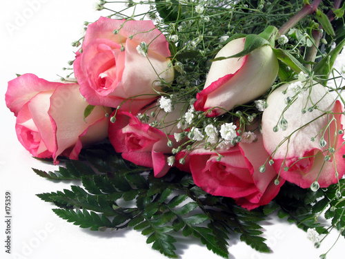 rose bouquet