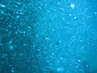 bubbles