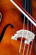 the cello and the bow
