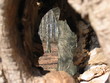 durchblick