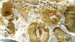 nougat