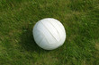 ball on grass
