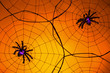 creepy spiders