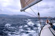 canvas print picture sailing