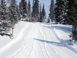 outdoor trail in winter