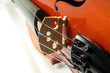 violon sur fond blanc violon sur fond blanc