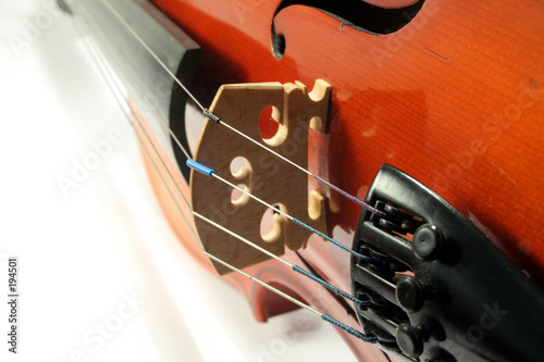 violon sur fond blanc