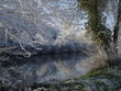 une rivière en hiver