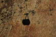 ombre téléphérique
