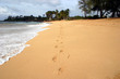 footprints on a tropical beach.