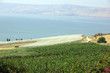israel