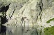 lac capitello