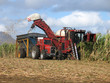 harvester harvester