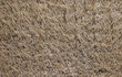 hairy rug texture
