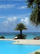 tropical series 15
