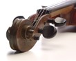 violin