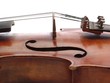 violin