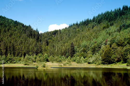 lac et forêt
