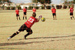 goalie action