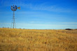 golden field windmill