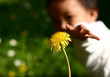 dandelion child