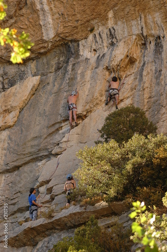 falaise de provence montmirail
