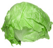 Photo: lettuce lettuce
