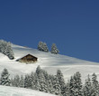 chalet d'alpage chalet d'alpage