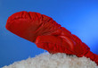 mitten