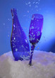 wine bottle and glass