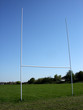 rugby field