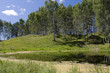 forest lake