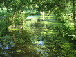marais poitevin