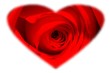 rose with a heart mask