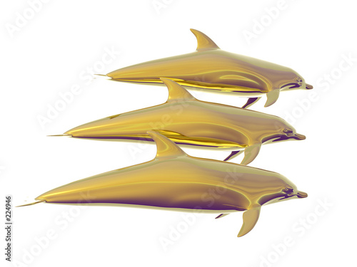 golden dolphins golden dolphins