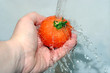 rinse before use