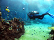 underwater viewing