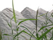 montagnes de sel