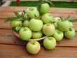 green apples