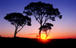 sunset sunset