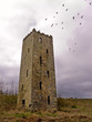 abode of crow
